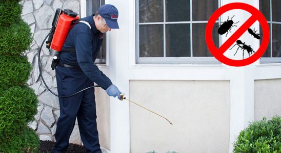 Balışeyh Böcek ve Haşere İlaçlama böcek ilaçlama ve haşere kontrolü — ilaclama-tr.com